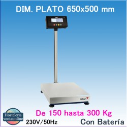 BASCULA ZMISSIL F3 GRAM